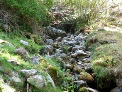 Tejera Navafria - Arroyo de los Tejos;excursiones de un dia gente senderista ruta cercedilla